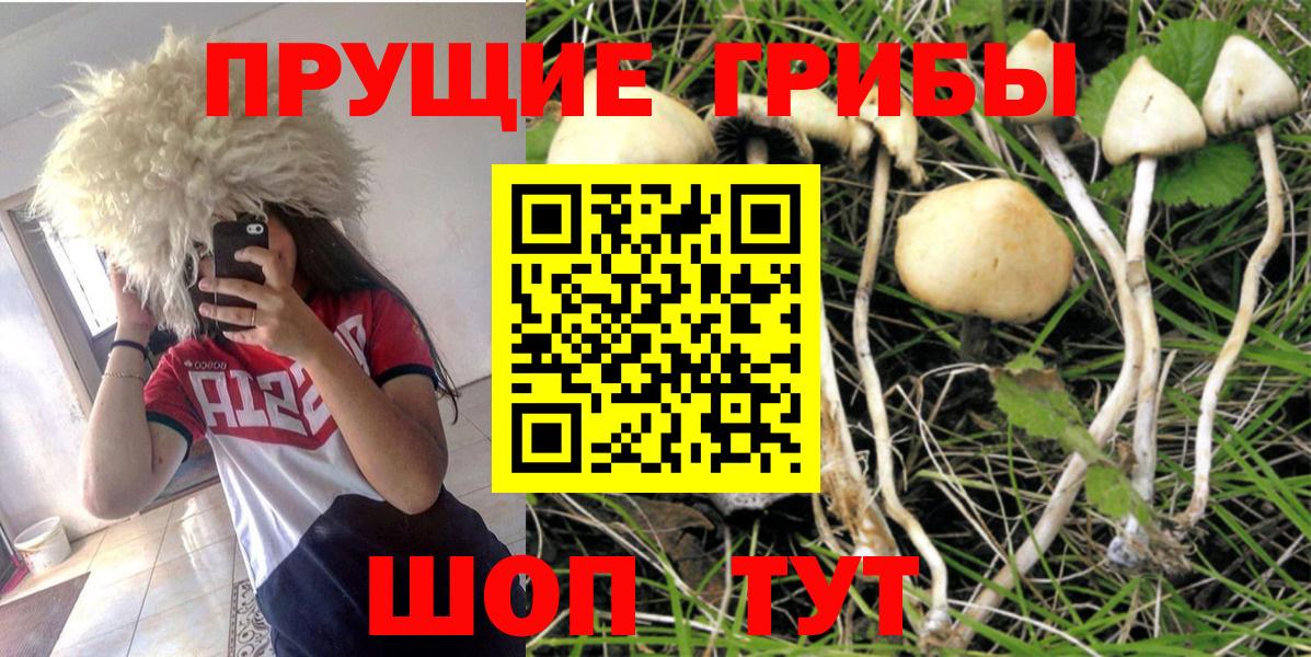 Галлюциногенные грибы ЛСД Новосибирск